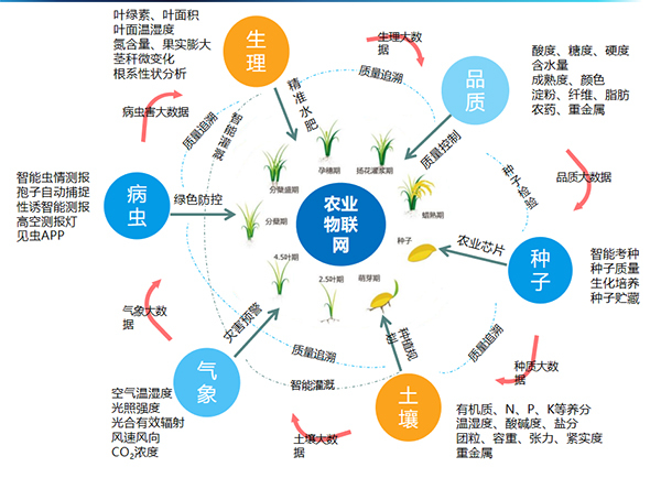 芭乐视频下载污在线观看打造的全要素智能采集系统