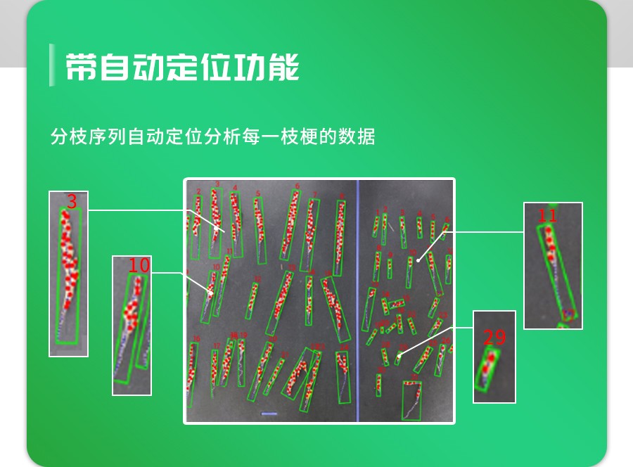 水稻整穗考种测量系统